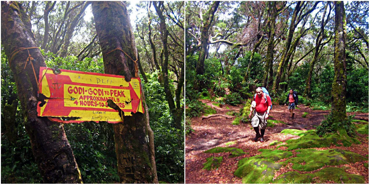 Godi Godi Campsite during our Mt APO Climb