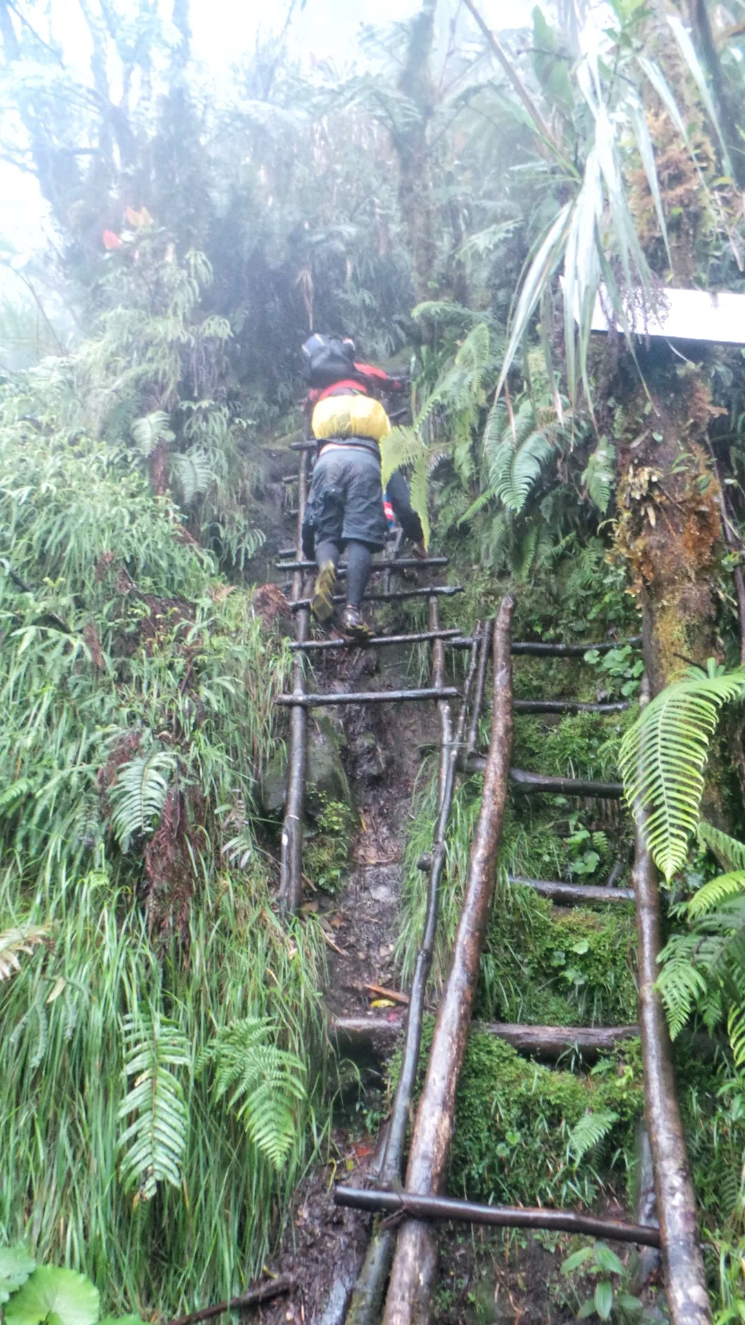 ladder section in mt apo